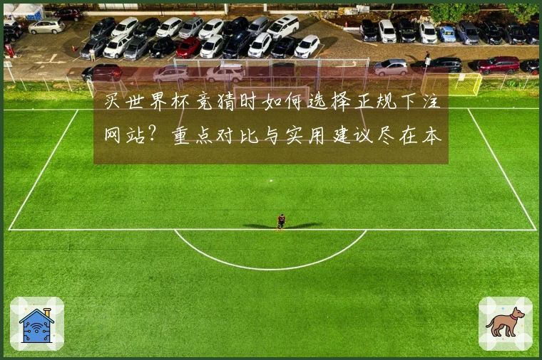 买世界杯竞猜时如何选择正规下注网站？重点对比与实用建议尽在本文