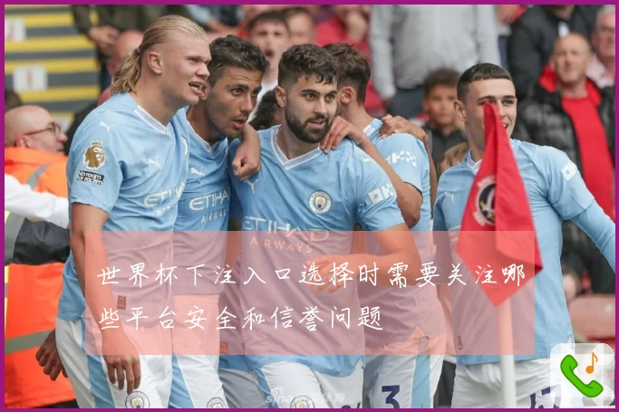 世界杯下注入口选择时需要关注哪些平台安全和信誉问题