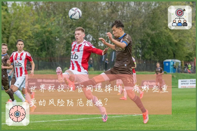 世界杯投注官网选择时，有哪些重要的风险防范措施？