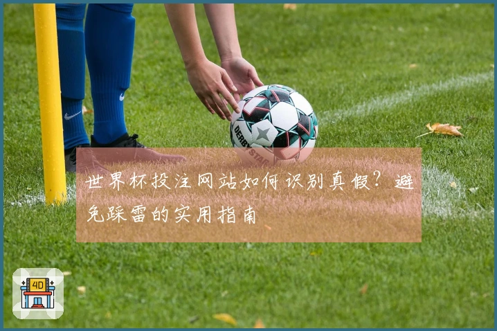 世界杯投注网站如何识别真假？避免踩雷的实用指南