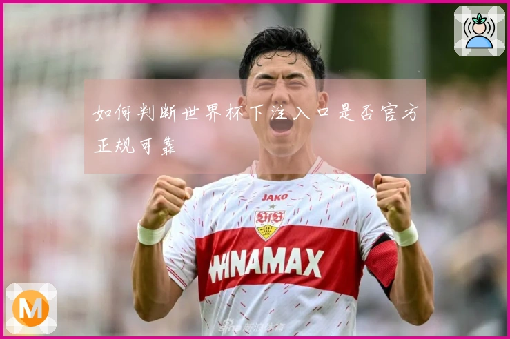 如何判断世界杯下注入口是否官方正规可靠