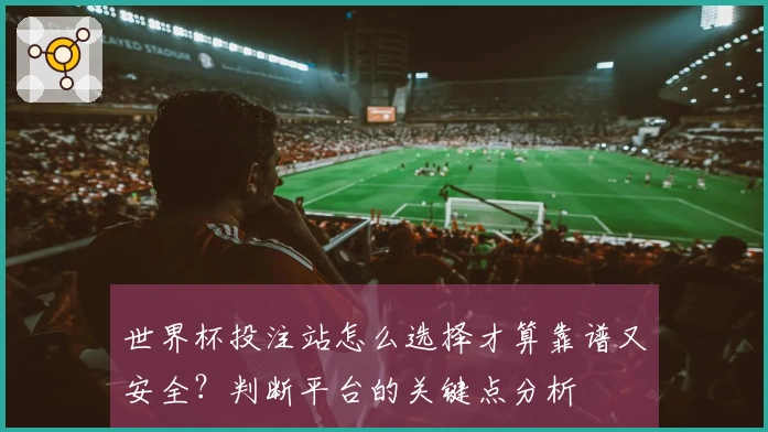 世界杯投注站怎么选择才算靠谱又安全？判断平台的关键点分析