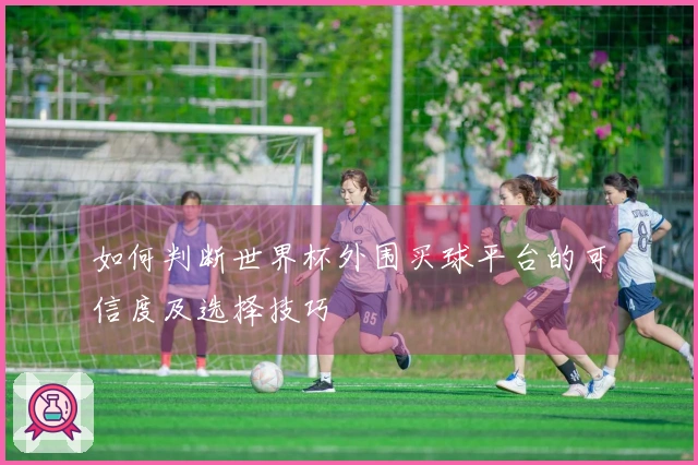 如何判断世界杯外围买球平台的可信度及选择技巧