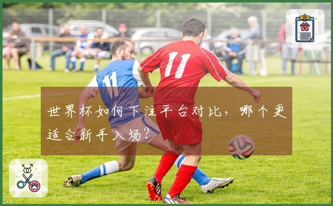 世界杯如何下注平台对比，哪个更适合新手入场？