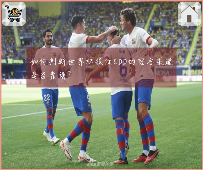 如何判断世界杯投注app的官方渠道是否靠谱？