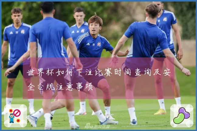 世界杯如何下注比赛时间查询及安全合规注意事项