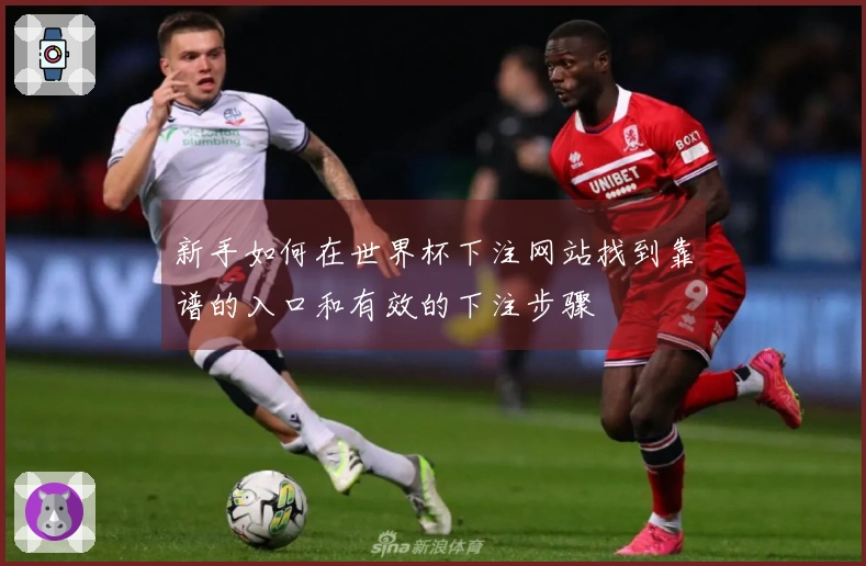 新手如何在世界杯下注网站找到靠谱的入口和有效的下注步骤