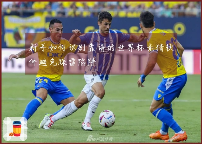 新手如何识别靠谱的世界杯竞猜软件避免踩雷陷阱