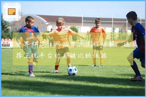 世界杯投注网站开户流程详解：选择正规平台的关键比较依据