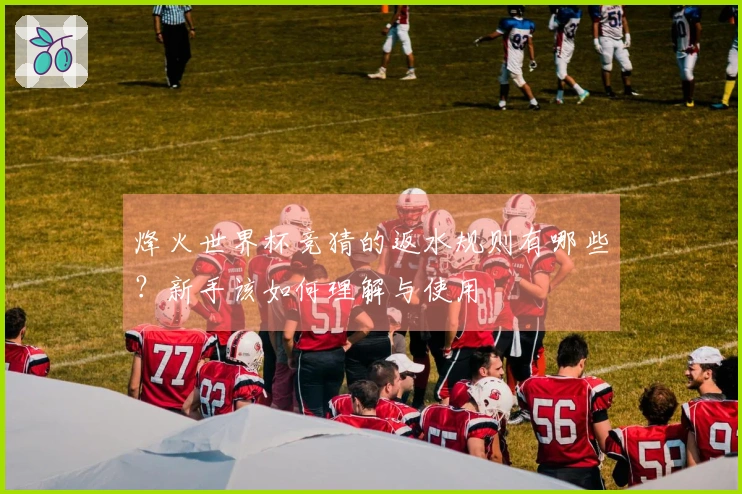 烽火世界杯竞猜的返水规则有哪些？新手该如何理解与使用