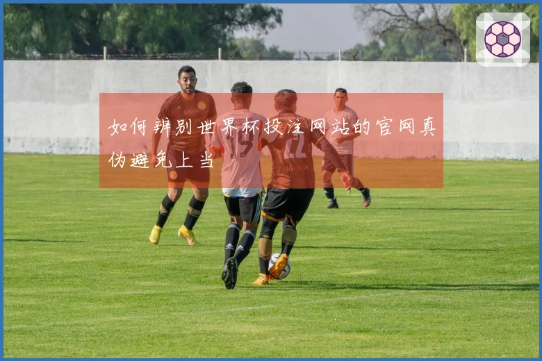 如何辨别世界杯投注网站的官网真伪避免上当