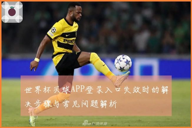 世界杯买球APP登录入口失效时的解决步骤与常见问题解析