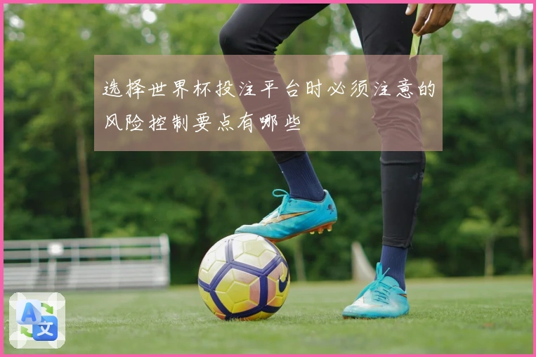 选择世界杯投注平台时必须注意的风险控制要点有哪些