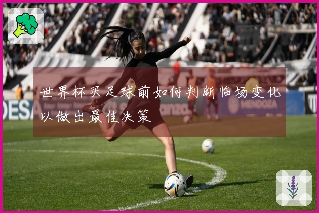 世界杯买足球前如何判断临场变化以做出最佳决策