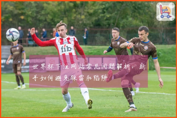 世界杯下注网站常见问题解析，新手如何避免踩雷和陷阱