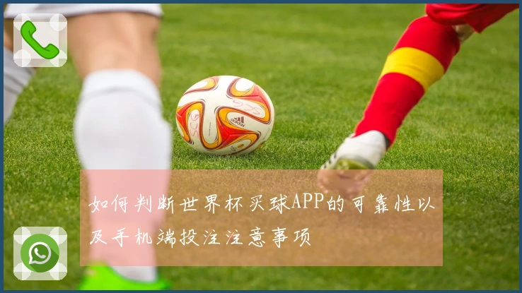 如何判断世界杯买球APP的可靠性以及手机端投注注意事项