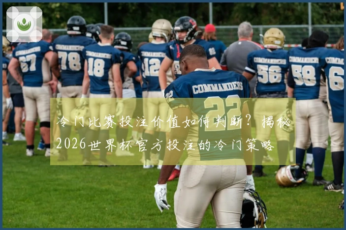 冷门比赛投注价值如何判断？揭秘2026世界杯官方投注的冷门策略