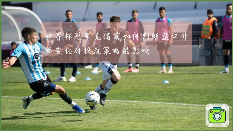 世界杯冠军竞猜前如何判断盘口升降变化对投注策略的影响