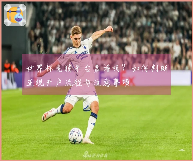 世界杯竞猜平台靠谱吗?如何判断正规开户流程与注意事项