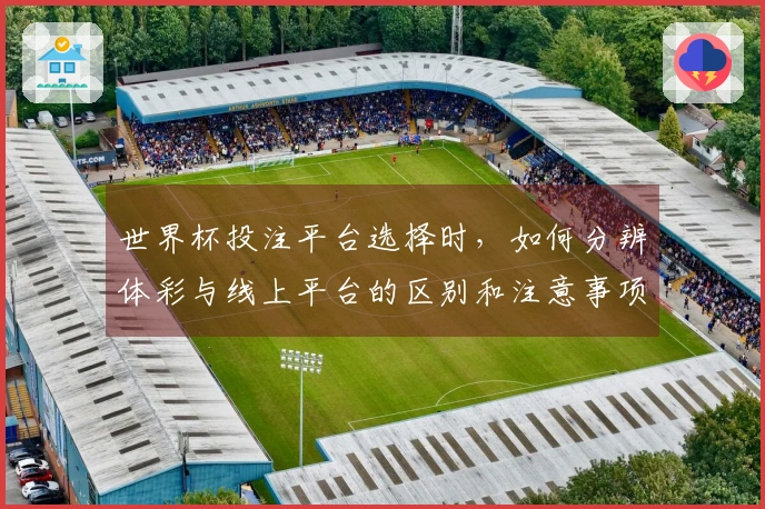 世界杯投注平台选择时，如何分辨体彩与线上平台的区别和注意事项
