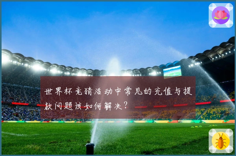 世界杯竞猜活动中常见的充值与提款问题该如何解决？