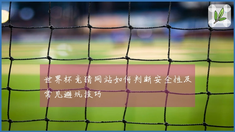 世界杯竞猜网站如何判断安全性及常见避坑技巧