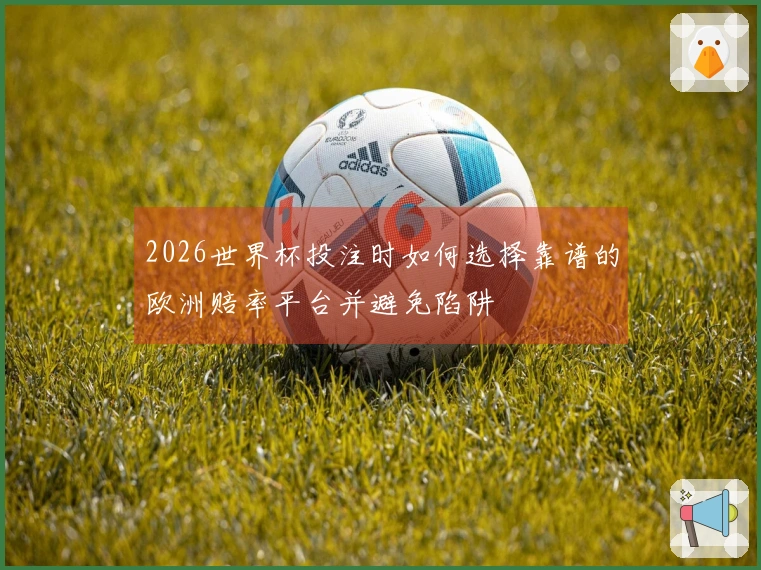 2026世界杯投注时如何选择靠谱的欧洲赔率平台并避免陷阱
