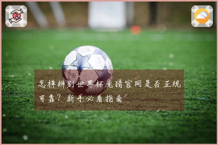 怎样辨别世界杯竞猜官网是否正规可靠？新手必看指南