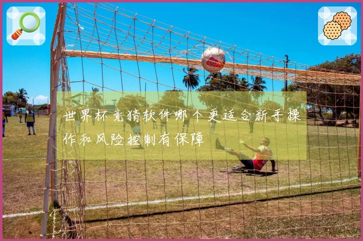 世界杯竞猜软件哪个更适合新手操作和风险控制有保障