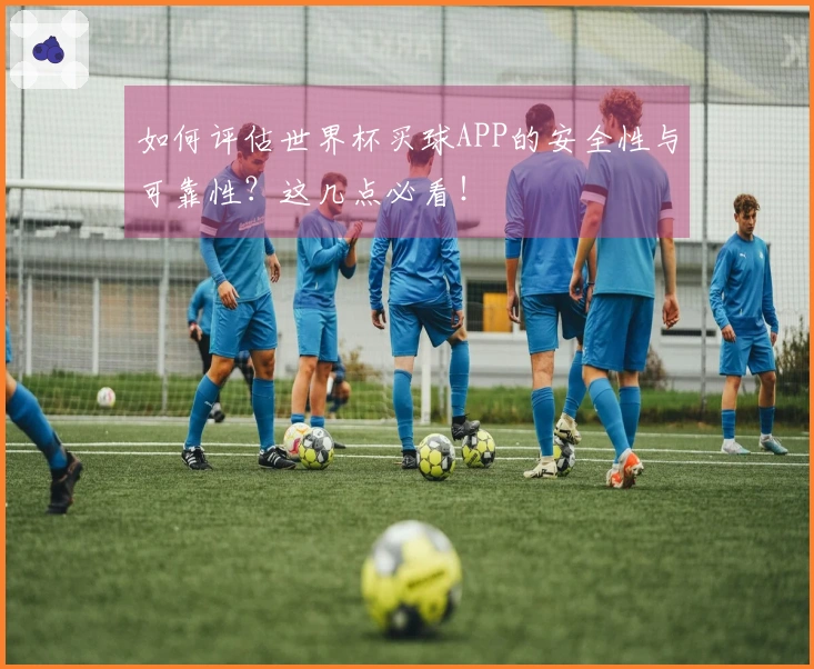 如何评估世界杯买球APP的安全性与可靠性？这几点必看！