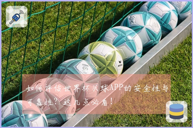 如何评估世界杯买球APP的安全性与可靠性?这几点必看!