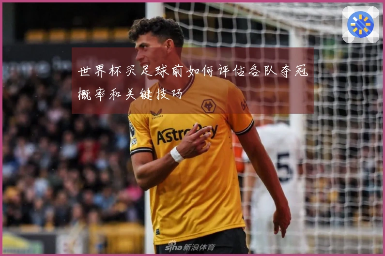 世界杯买足球前如何评估各队夺冠概率和关键技巧