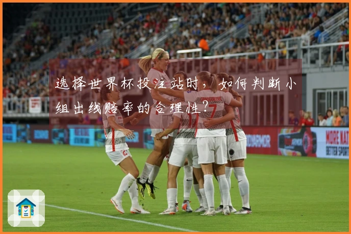 选择世界杯投注站时，如何判断小组出线赔率的合理性？