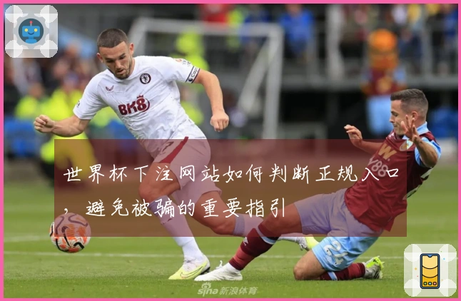 世界杯下注网站如何判断正规入口，避免被骗的重要指引