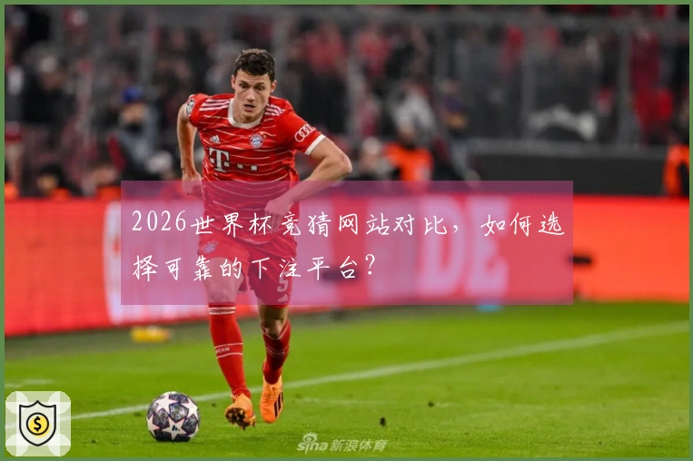 2026世界杯竞猜网站对比，如何选择可靠的下注平台？