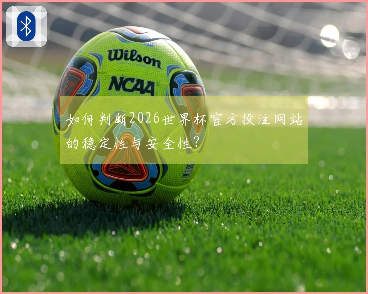 如何判断2026世界杯官方投注网站的稳定性与安全性？