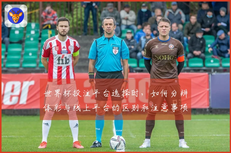 世界杯投注平台选择时，如何分辨体彩与线上平台的区别和注意事项