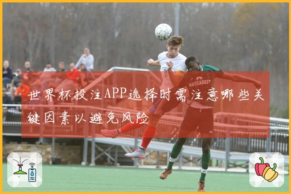 世界杯投注APP选择时需注意哪些关键因素以避免风险
