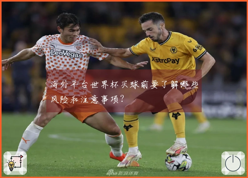 海外平台世界杯买球前要了解哪些风险和注意事项？