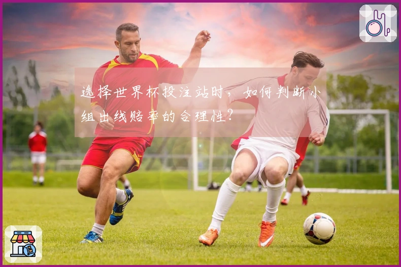 选择世界杯投注站时,如何判断小组出线赔率的合理性?
