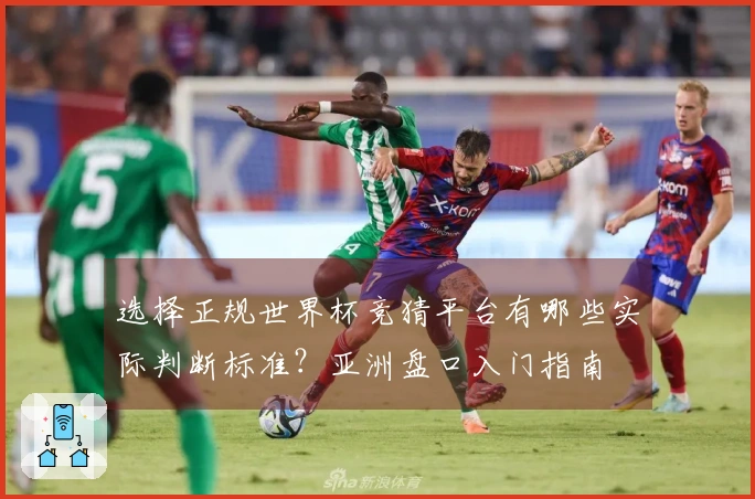选择正规世界杯竞猜平台有哪些实际判断标准？亚洲盘口入门指南