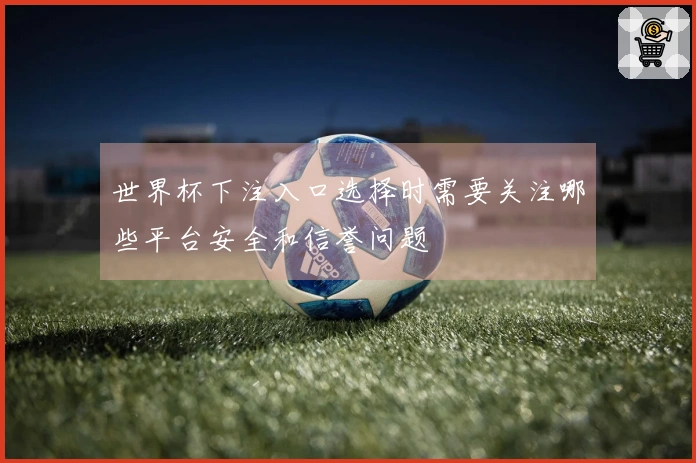 世界杯下注入口选择时需要关注哪些平台安全和信誉问题