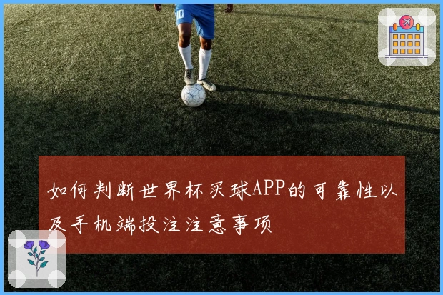 如何判断世界杯买球APP的可靠性以及手机端投注注意事项