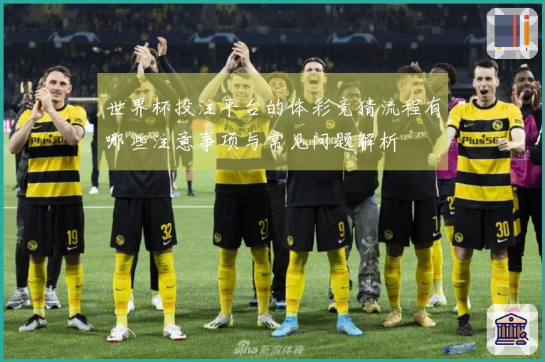 世界杯投注平台的体彩竞猜流程有哪些注意事项与常见问题解析