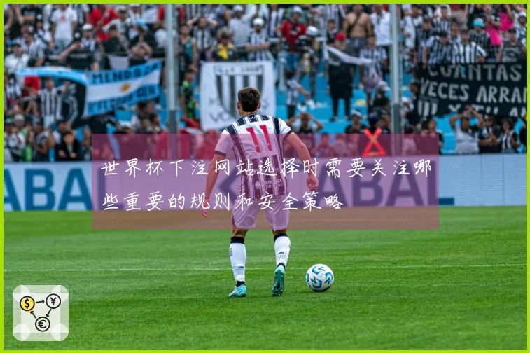 世界杯下注网站选择时需要关注哪些重要的规则和安全策略
