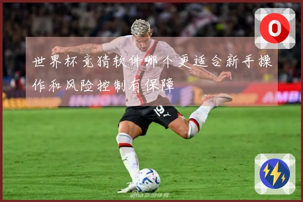 世界杯竞猜软件哪个更适合新手操作和风险控制有保障