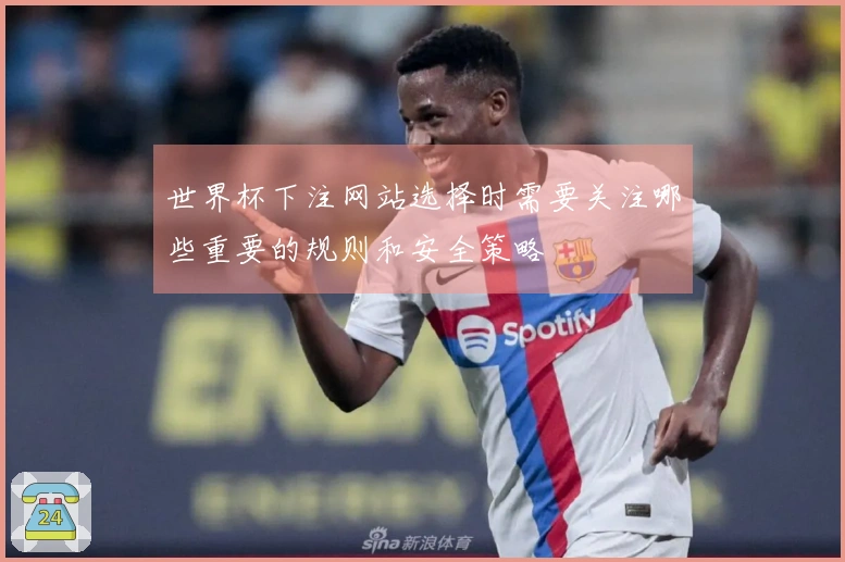 世界杯下注网站选择时需要关注哪些重要的规则和安全策略