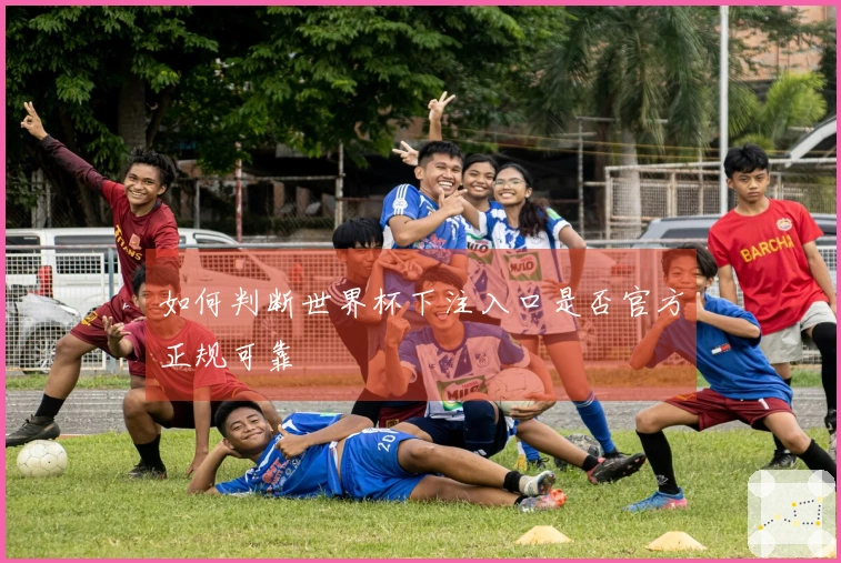 如何判断世界杯下注入口是否官方正规可靠