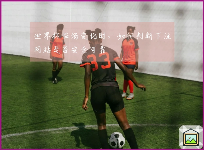 世界杯临场变化时，如何判断下注网站是否安全可靠