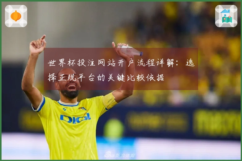 世界杯投注网站开户流程详解：选择正规平台的关键比较依据
